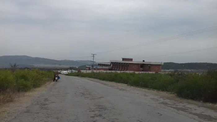 Govt Degree College For Women Ara Basharat Picture 3