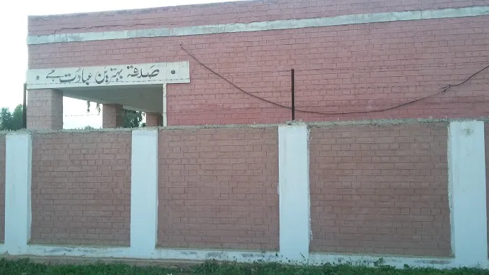 Government Primary School Picture 1