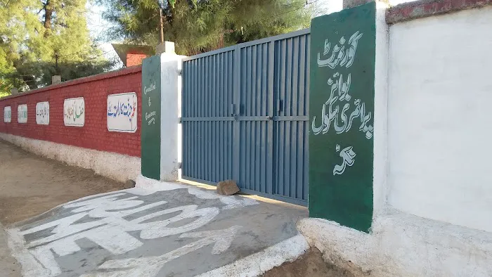 Government Center Boys Primary School Nakka Picture 1