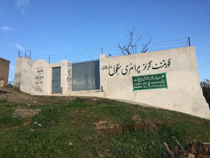 Govt Girls Primary School Picture 1