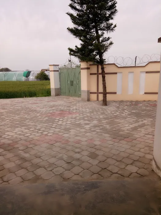 Barani Science College Talagang Picture 3