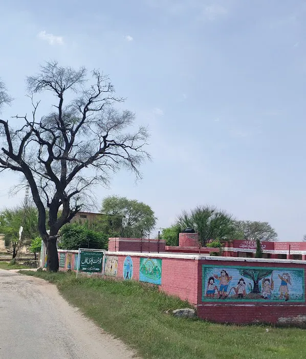 Government Primary School, Dhoke Shehbaz. Picture 2