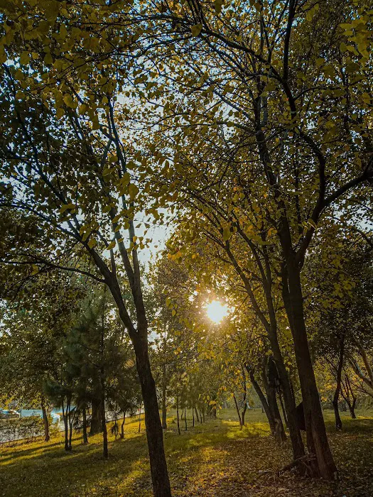 Bahria University Drop Lane Picture 2