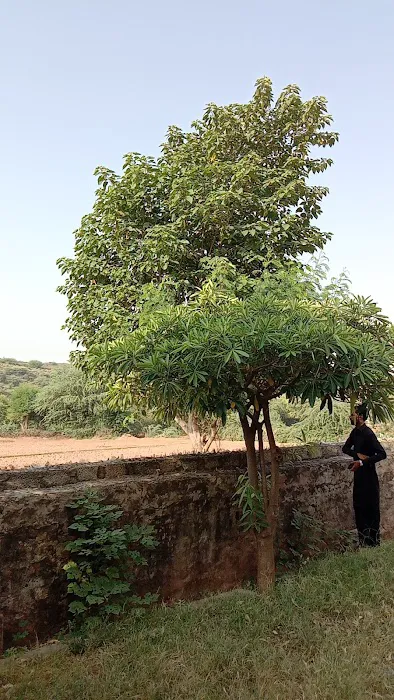 Govt Primary school Ganda kas Picture 2