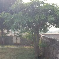 Govt Primary school Ganda kas ico