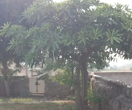 Govt Primary school Ganda kas