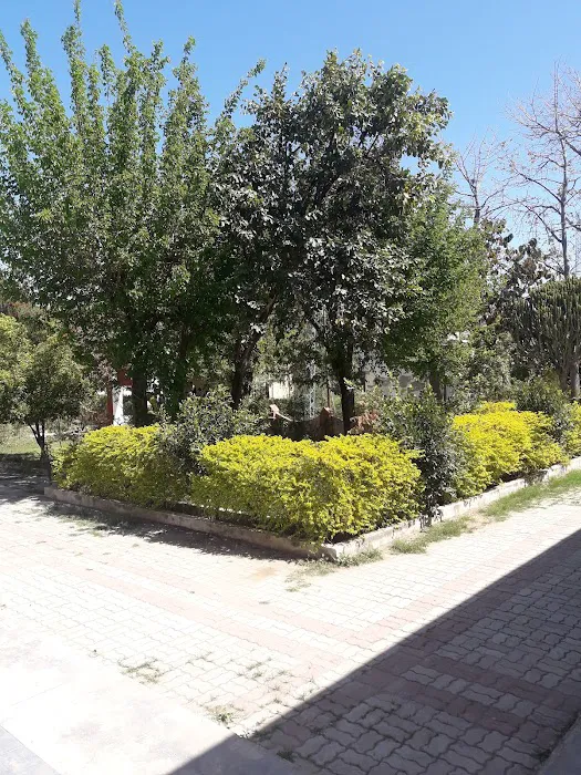 Govt Post Graduate College Chakwal Picture 3