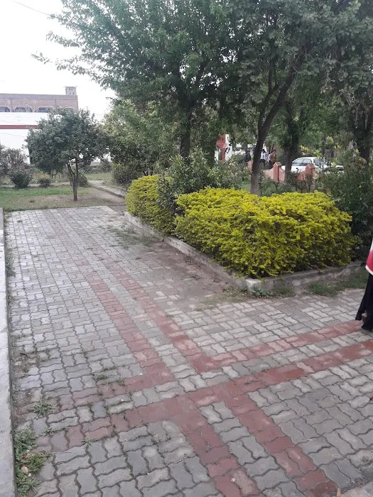Govt Post Graduate College Chakwal Picture 2