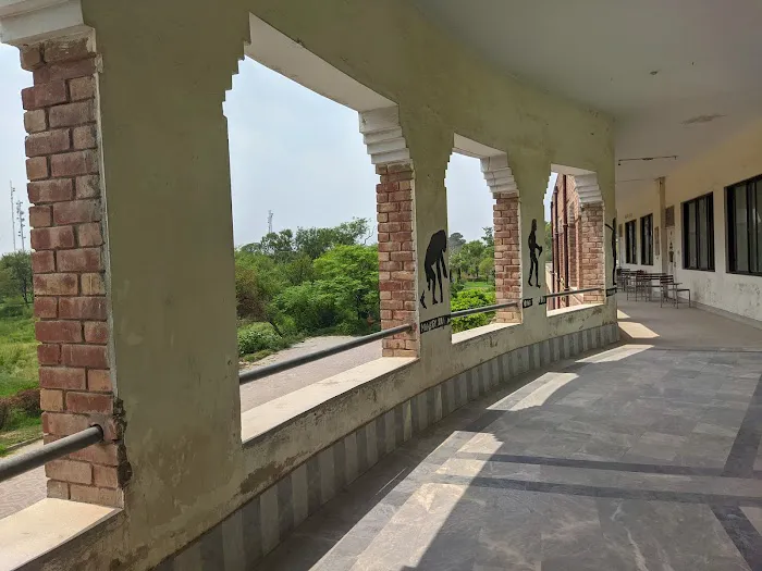 Govt Post Graduate College Chakwal Picture 9