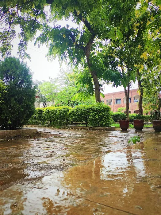 University of Chakwal Picture 4