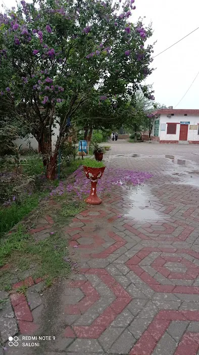 University of Chakwal Picture 9