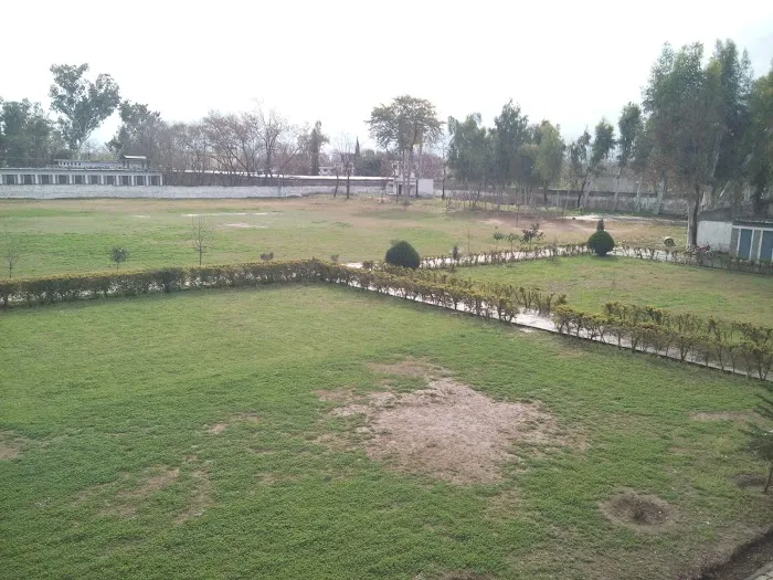 Government Degree College (GDC) Zarobi Picture 8