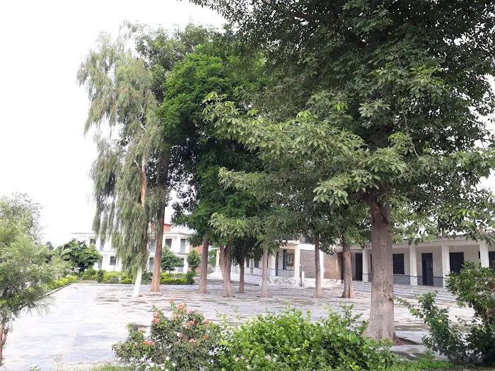 Government Degree College (GDC) Zarobi Picture 7