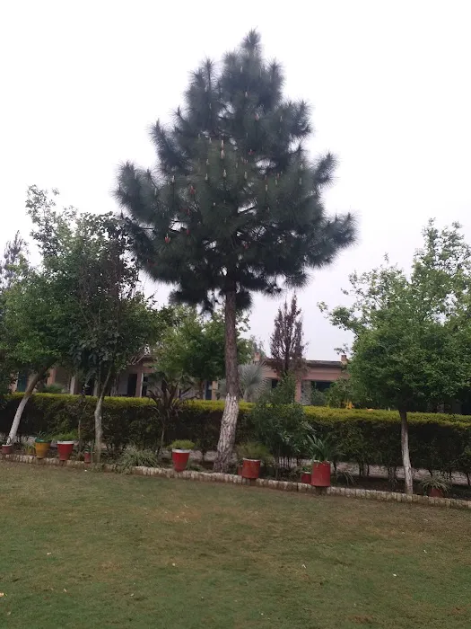 Govt. Girls Degree College Marghuz Swabi Picture 4