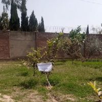 Govt.Degree College Basal ico