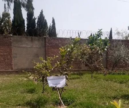 Govt.Degree College Basal