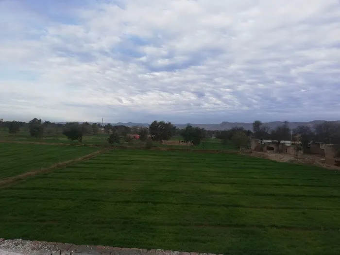 Allied Higher Secondary School (Iqbal Campus) Picture 7