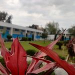 Hira Model High School (Boys Campus )
