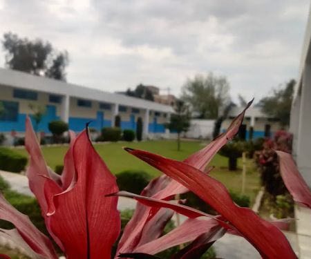Hira Model High School (Boys Campus )