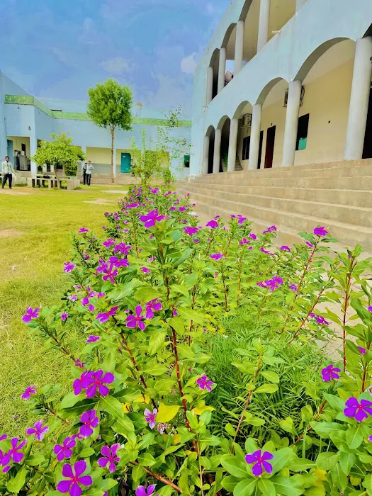 Superior College Malakwal Picture 2