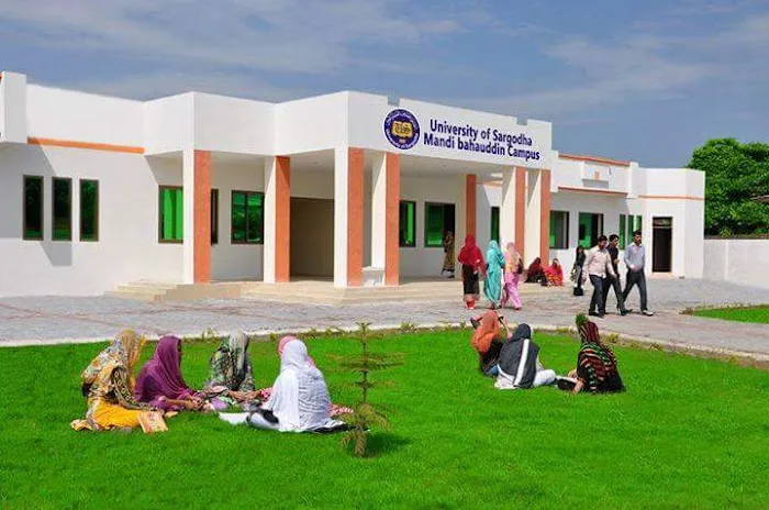 University of Sargodha, Mandi Bahauddin Campus Picture 3