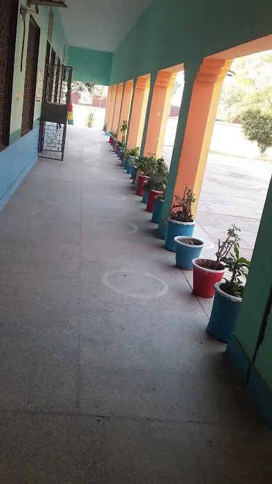Government Milat High School, Head Rasul Picture 1