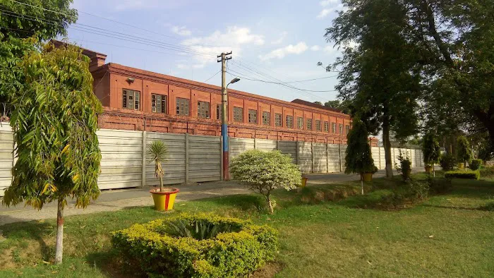 University of Rasul, Mandi Bahauddin Picture 4