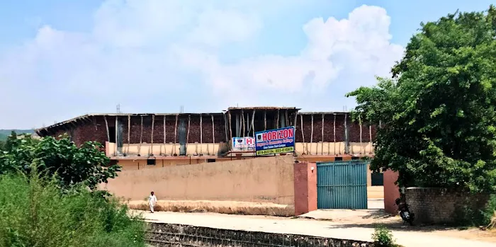 Horizon Degree and Commerce College Choa Saiden Shah Picture 1