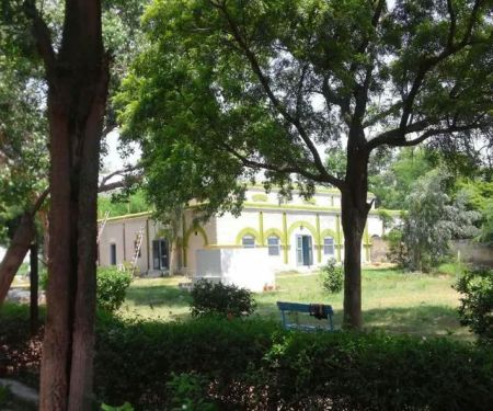 PMDC Girls College