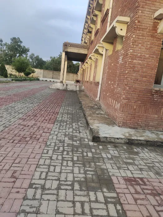 Government Associate College Hassanabdal Picture 3