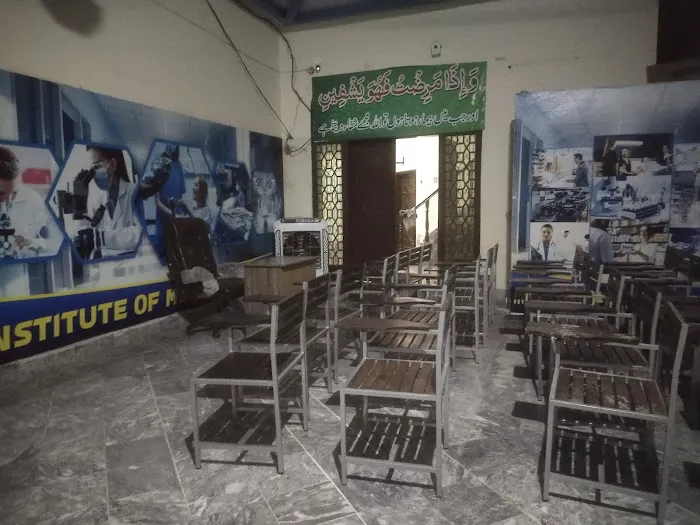 Hamza College Of Health Science Malakwal Campus Picture 7