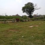 Ghazali College Of Education, Malakwal