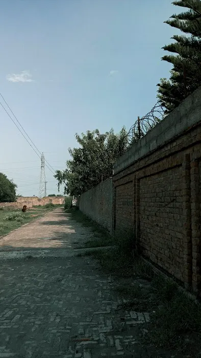 Punjab College Chakwal Campus Picture 3