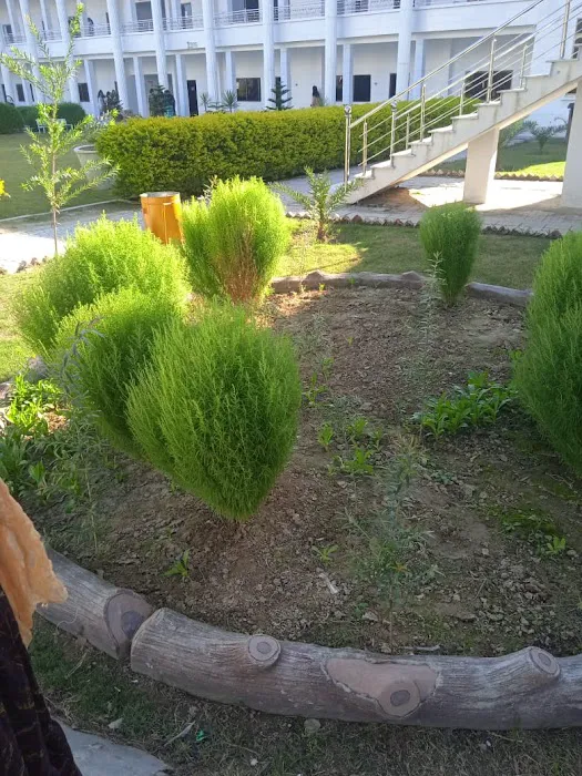 Horizon Degree and Commerce College Picture 8
