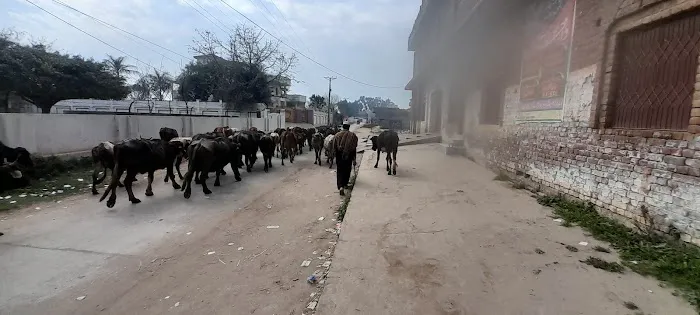 Ghosia Girls College Chak Basawa غوثیہ گرلز کالج چک بساوا Picture 1