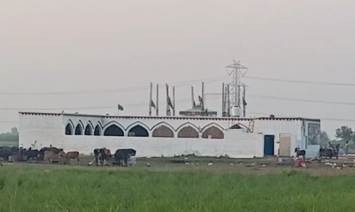 Chillianwala, Mandi Bahauddin Picture 5