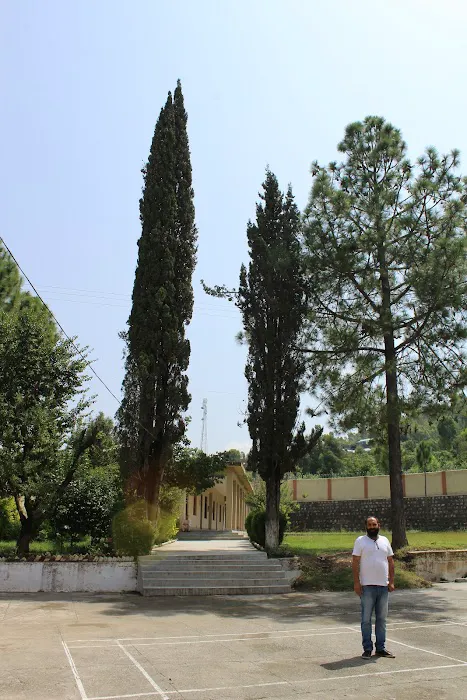 Govt Degree College Sherwan Picture 10