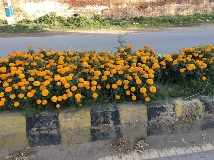 ASPIRE Group of Colleges, Jhelum Picture 9