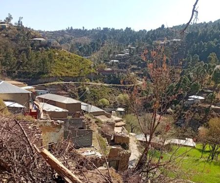Govt Girls School Telhar