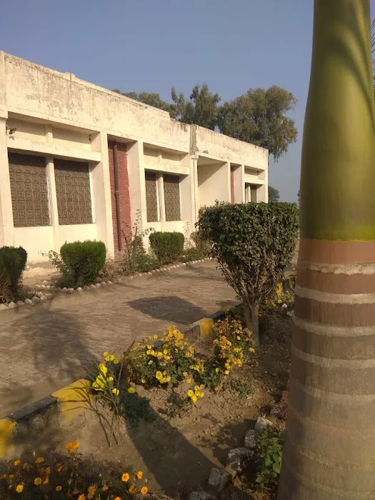 Govt Associate College For Boys, Malakwal (Kallowal College) Picture 4