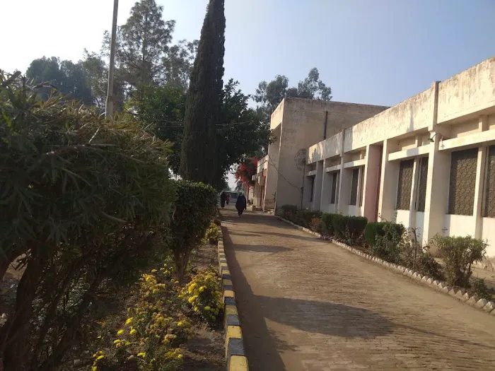 Govt Associate College For Boys, Malakwal (Kallowal College) Picture 8