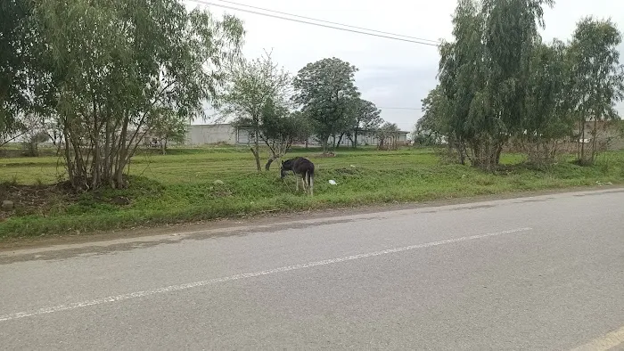 Al Rehman Science College Neela Road Chakwal Picture 1