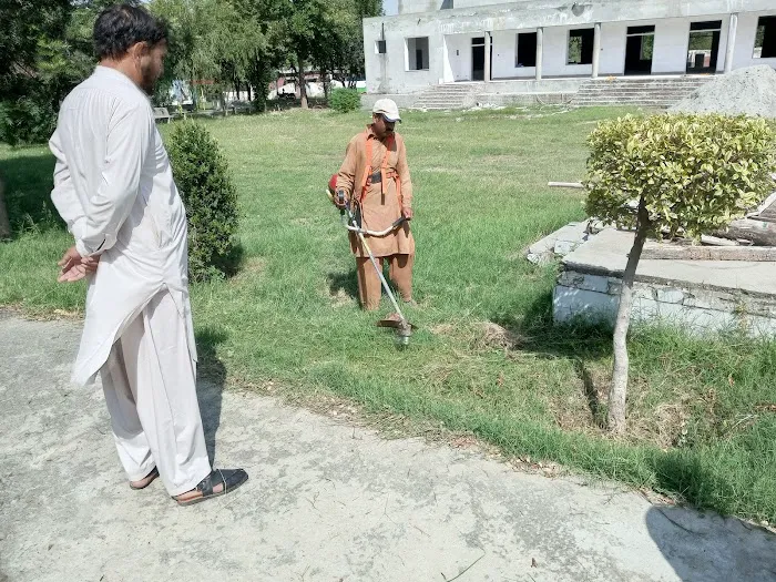 Government Degree College For Women Wah Cantt Picture 5