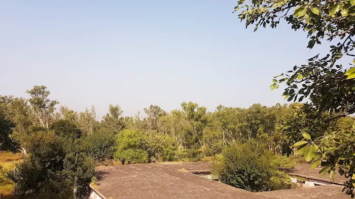 Govt Pir Yaqoob Shah Degree College Phallia Picture 2