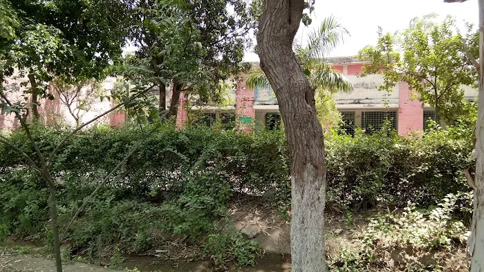 Govt Pir Yaqoob Shah Degree College Phallia Picture 9