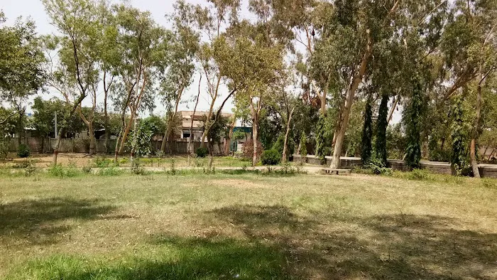 Govt Pir Yaqoob Shah Degree College Phallia Picture 8