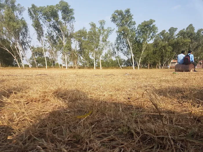 Govt Pir Yaqoob Shah Degree College Phallia Picture 5