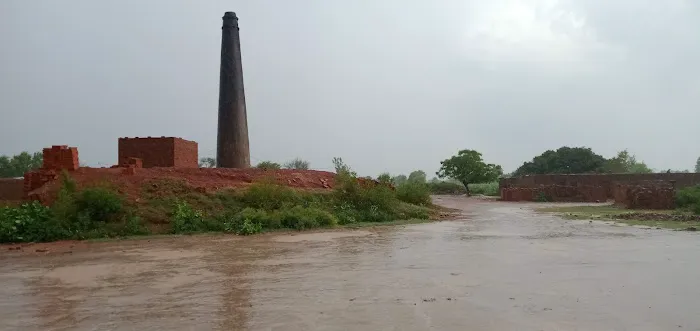 Govt Pir Yaqoob Shah Degree College Phallia Picture 6