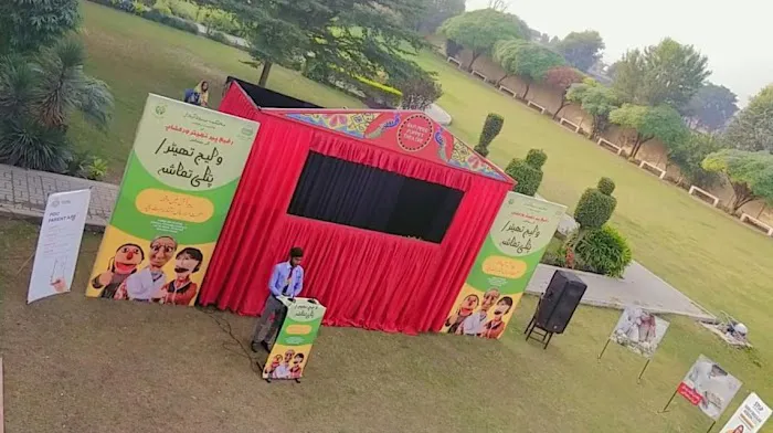 Punjab College Phalia Picture 2
