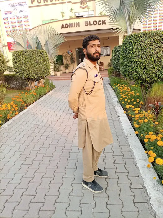 Punjab College Phalia Picture 5